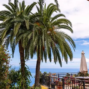 https://el-palmeral-tinizara.in-canary-islands.com